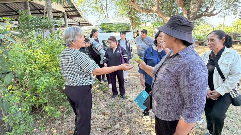 title - ส.ป.ก.อ่างทอง จัดอบรมโครงการยกระดับศักยภาพการพัฒนาสินค้าเกษตรชีวภาพ กิจกรรมยกระดับศักยภาพการเกษตรชีวภาพ ปีงบประมาณ พ.ศ. 2569 หลักสูตร “การเพิ่มประสิทธิภาพการผลิตพืชสมุนไพรในเขตปฏิรูปที่ดิน“